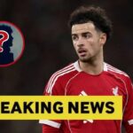 17698839662973759716693476422112